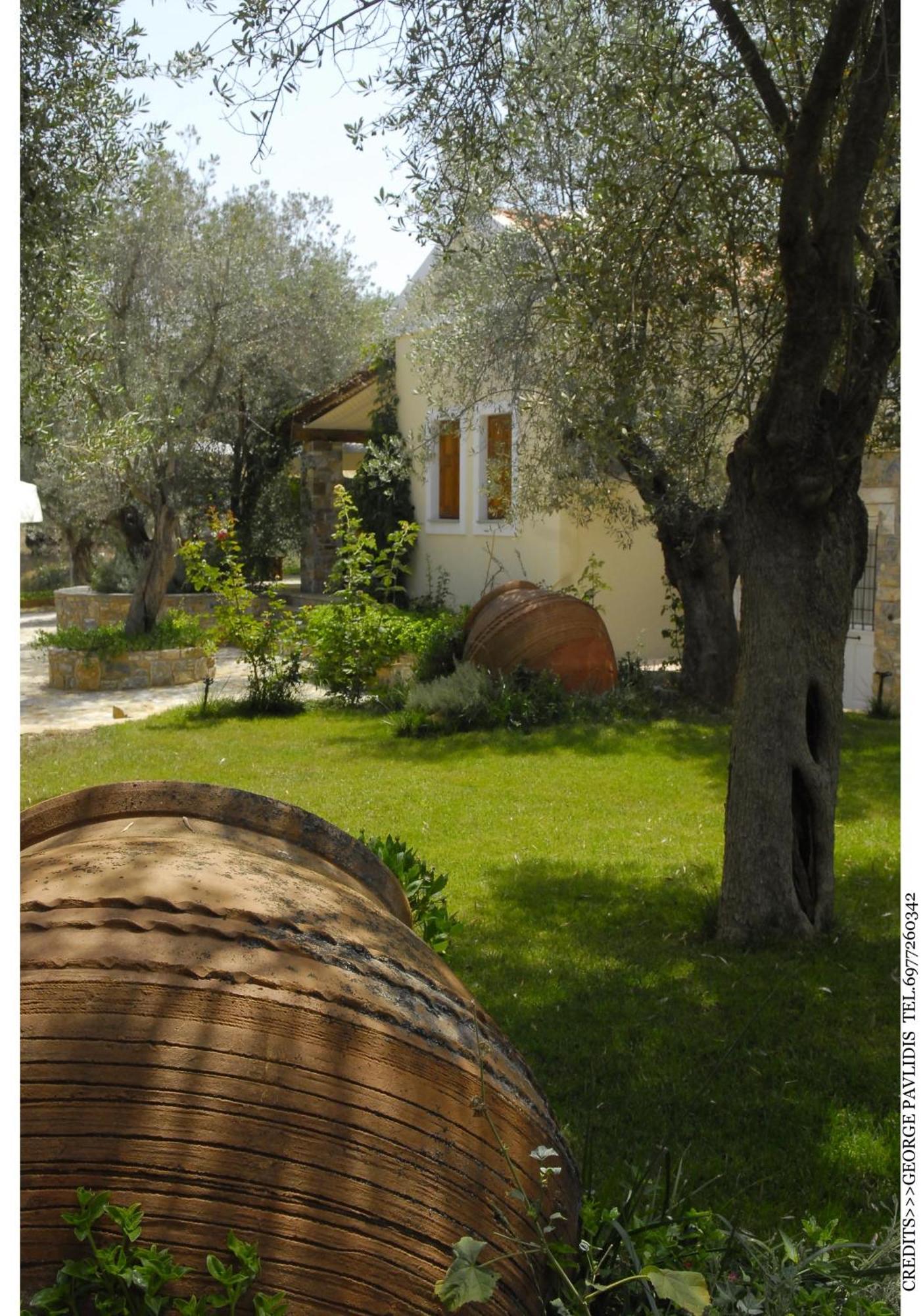 Gera'S Olive Grove - Elaionas Lesvou Hotel Marmaro  Exterior photo