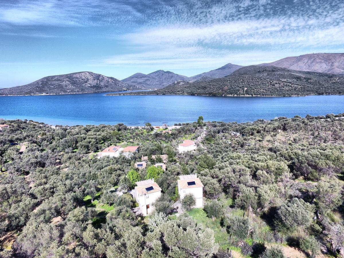 Gera'S Olive Grove - Elaionas Lesvou Hotel Marmaro  Exterior photo